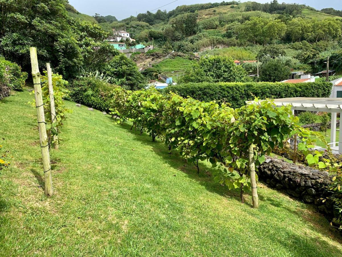 Casa Do Priolo - Villaverde Azores Feteiras Exterior photo